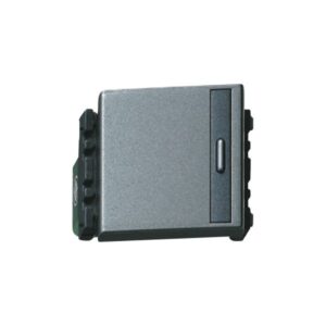 Công Tắc Panasonic REFINA WEG5521 Xám