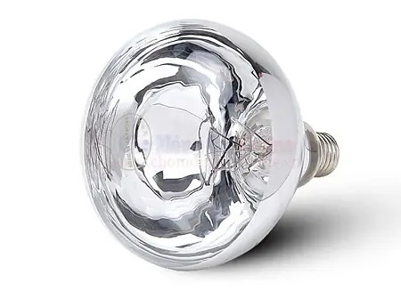 Bán Bóng Đèn Hồng Ngoại