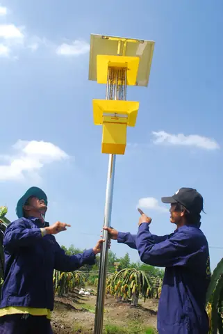 Bẫy Côn Trùng Bằng Đèn