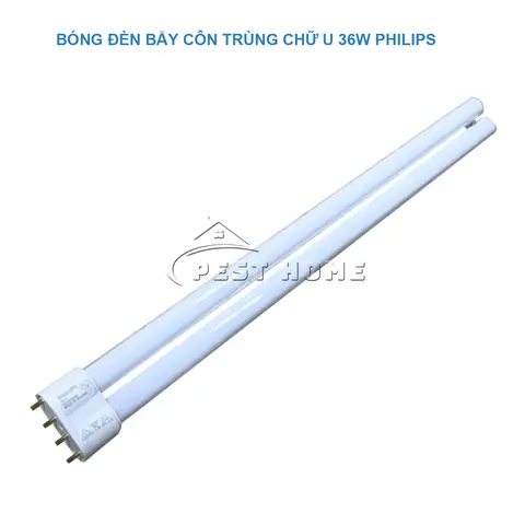 Bóng Đèn Chữ U Philip