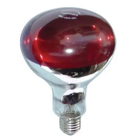 Bóng Đèn Hồng Ngoại 25w