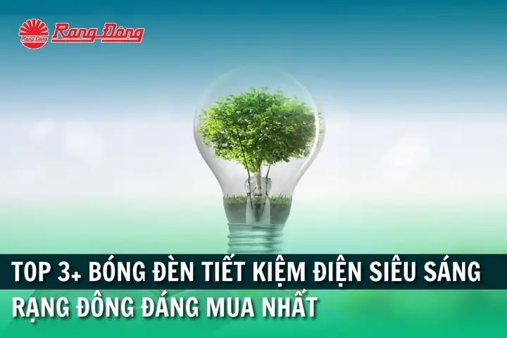 Bóng Đèn Tiết Kiệm Điện Rang Dong