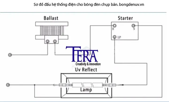 Bóng Đèn Uv Chụp Bản