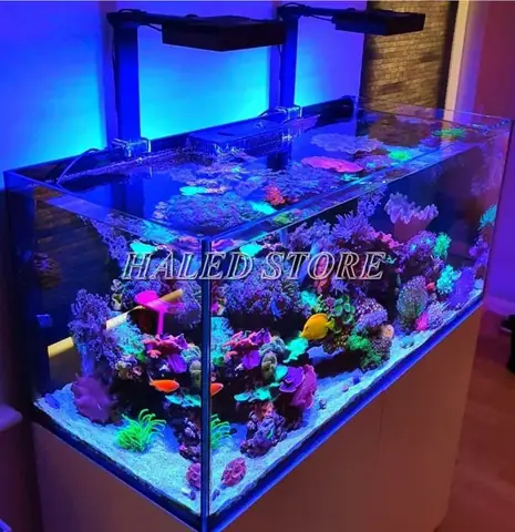 Cách Chế Đèn Cho Bể Cá
