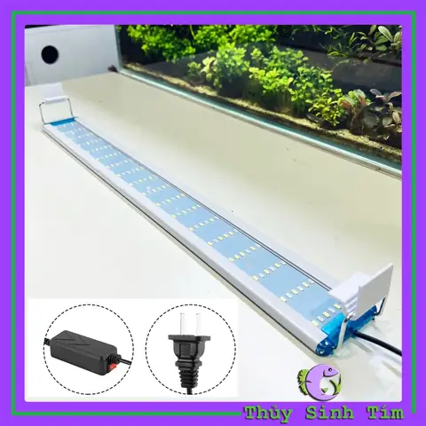 Cách Chế Đèn Led Cho Bể Thủy Sinh