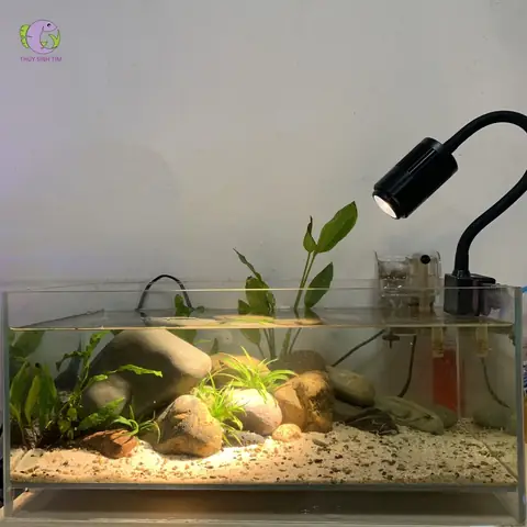 Cách Chỉnh Tiêu Cự Đèn Xe Máy