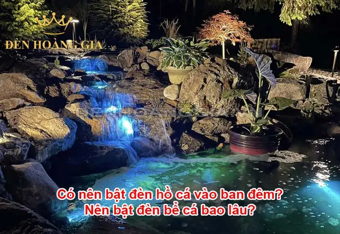 Cách Đá Đèn Hỏi Công An Ban Đêm
