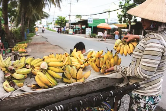 Cách Dấm Xoài Bằng Đất Đèn