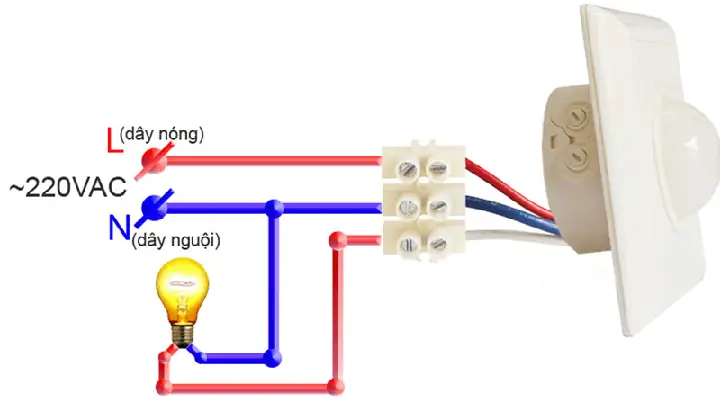 Cách Đấu Đèn Cảm Ứng