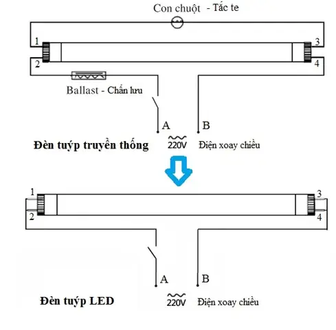Cách Đấu Đèn Led T5