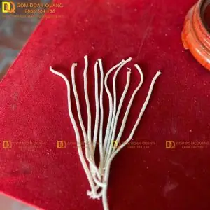Cách Làm Bấc Đèn Dầu