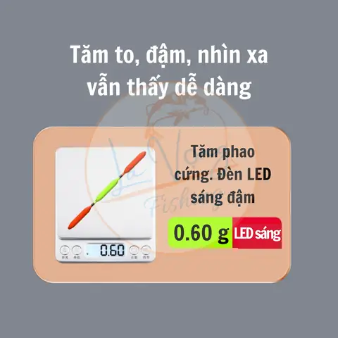 Cách Sử Dụng Phao Đèn Câu Cá