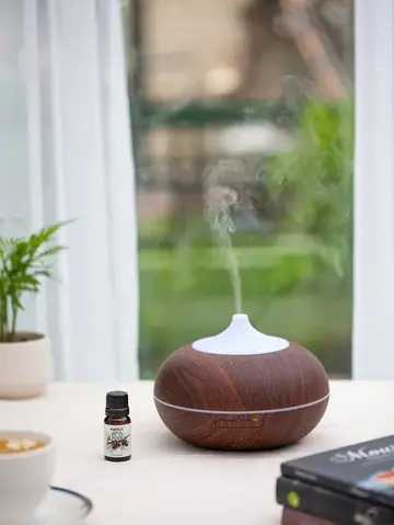 Cách Tháo Lắp Đèn Xông Tinh Dầu