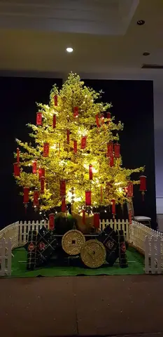 Cách Trang Trí Đèn Cây Mai Ngày Tết