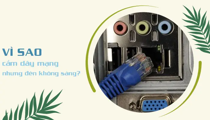 Cắm Dây Mạng Nhưng Đèn Không Sáng