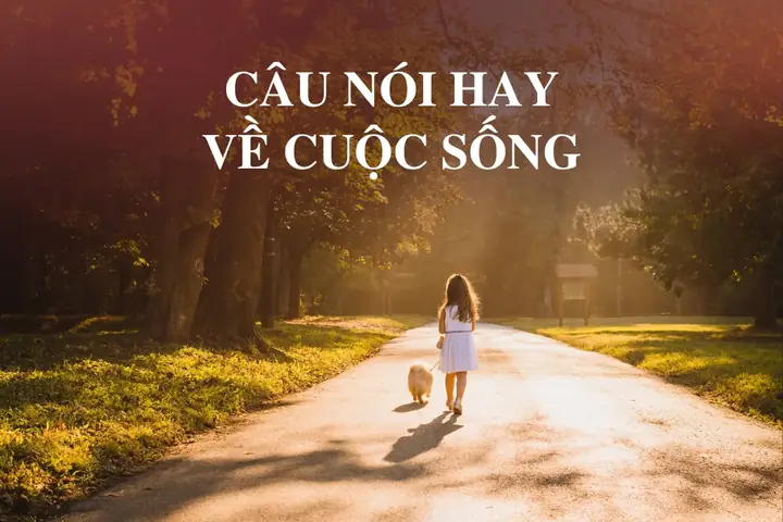 Câu Nói Hay Về Đèn
