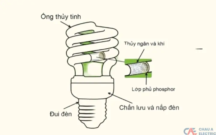 Cấu Tạo Đèn Compact Huỳnh Quang