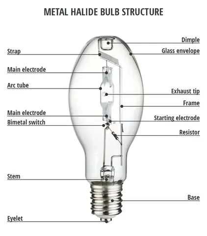 Cấu Tạo Đèn Metal Halide
