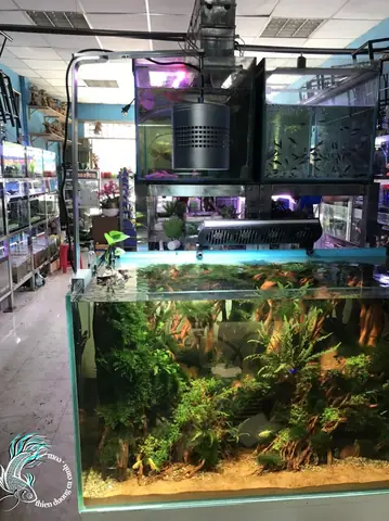 Chân Treo Đèn Thủy Sinh