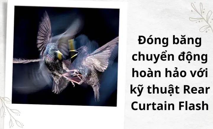Chế Độ Hss Trên Đèn Flash