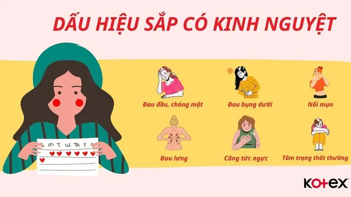Đau Lưng Trước Ngày Đèn Đỏ