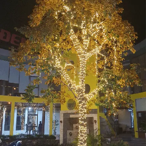 Dây Đèn Trang Trí Cây Ngoài Trời