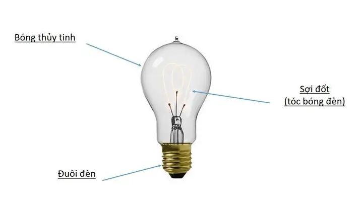 Dây Tóc Của Bóng Đèn