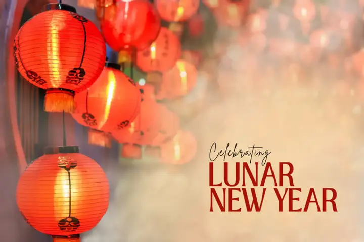 Đèn Bắt Côn Trùng Tiếng Anh Là Gì Đèn Bắt Côn Trùng Tiếng Anh Là Gì