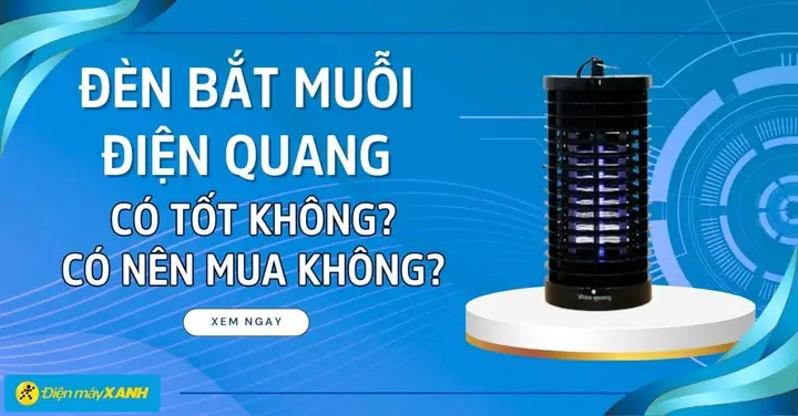 Đèn Bắt Muỗi Điện Quang Có Tốt Không Đèn Bắt Muỗi Điện Quang Có Tốt Không