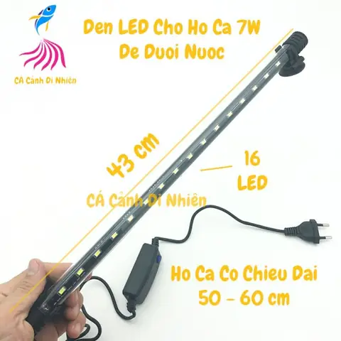 Đèn Dưới Nước Cho Bể Cá