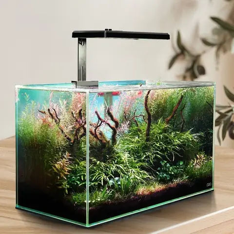 Đèn Hồ Thủy Sinh 60cm