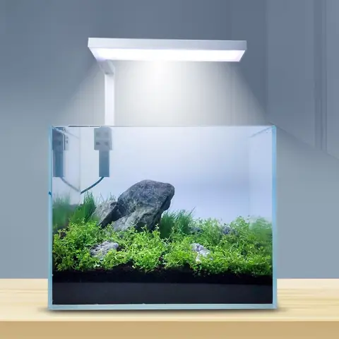 Đèn Hồ Thủy Sinh Mini