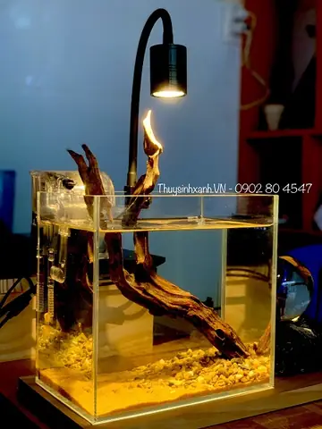 Đèn Hồ Thủy Sinh Mini