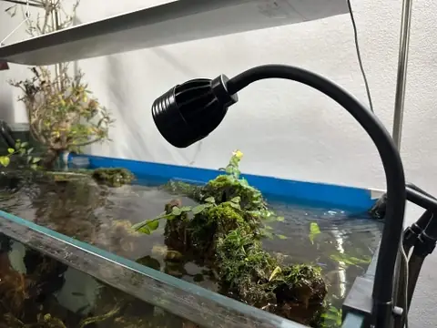 Diy Đèn Led Thủy Sinh