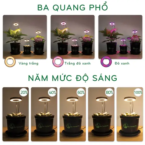 Diy Đèn Led Trồng Cây