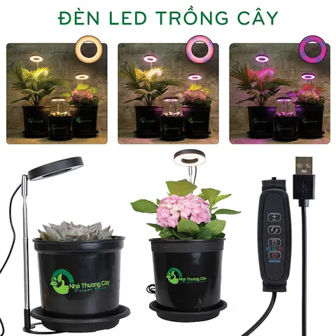 Diy Đèn Led Trồng Cây