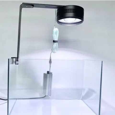 Gắn Đèn Cho Hồ Cá