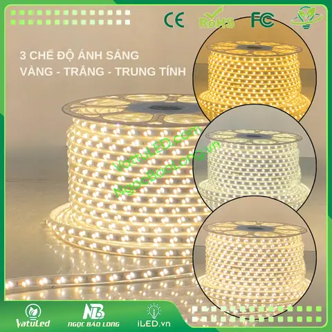 Giá Dây Đèn Led Trắng