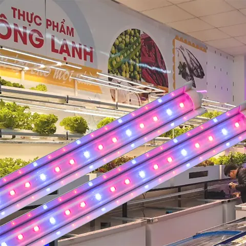 Giá Đèn Led Trồng Rau