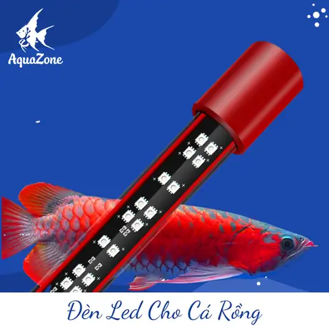 Máng Đèn Cho Hồ Cá Rồng
