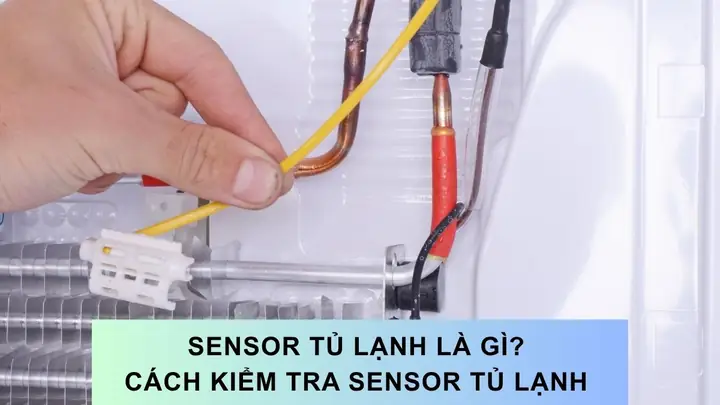 Mây Sớm Đèn Khuya Là Gì