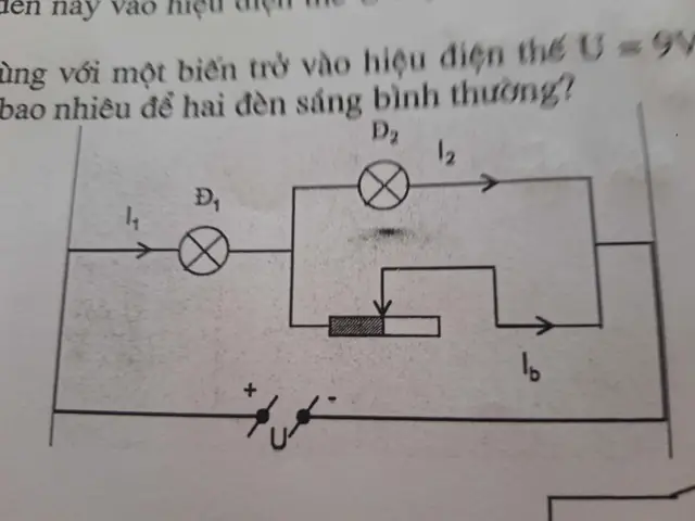 Một Bóng Đèn Loại 6v 3w