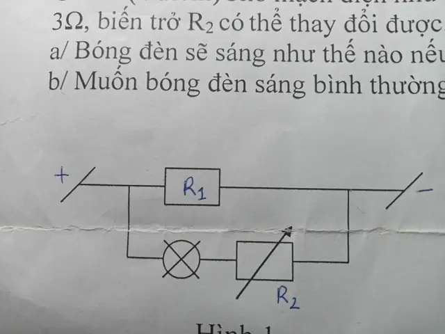 Một Bóng Đèn Loại 6v 3w