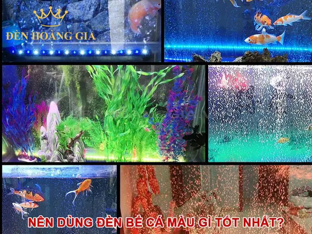 Nên Dụng Đèn Hắt Trần Màu Gì
