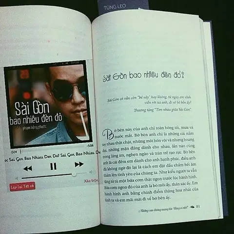 Sài Gòn Bao Nhiêu Đèn Đỏ Tùng Leo