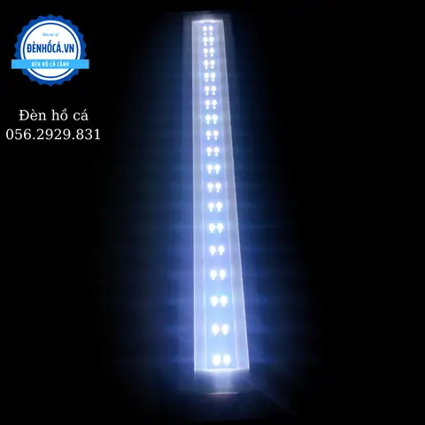 Sửa Đèn Led Bể Cá