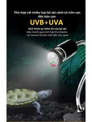 Tác Dụng Của Đèn Uva Uvb