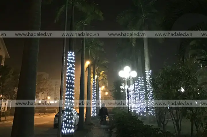 Thi Công Đèn Led Quấn Cây