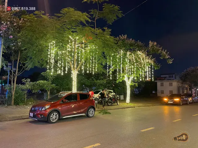 Trang Trí Đèn Cho Cây Xanh