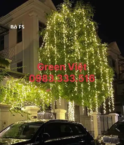 Trang Trí Đèn Noel Đẹp